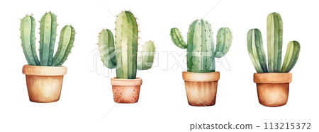 Watercolor illustrations of various potted cacti isolated on white background. 113215372