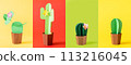 Cinco de Mayo concept - collage of four different paper cactus on solid color backgruond 113216045