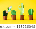 Cinco de Mayo concept - paper craft cactus on solid color background 113216048