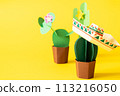 Cinco de Mayo concept - paper craft cactus on solid color background 113216050