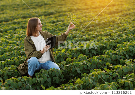 Smart farming soybean technology. Smiling female farmer with digital tablet uses for examine and check soya plants in field. Modern agribusiness of control of growth and development of sprouts 113216291