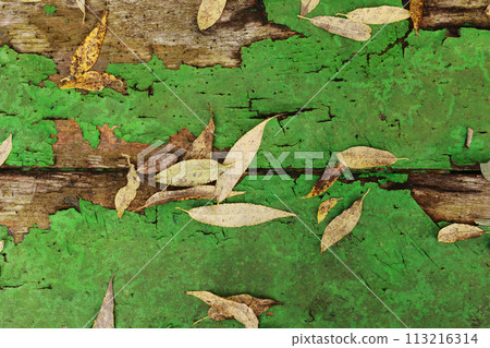 Autumn yellow fallen leaves and twigs on old wooden background texture of boards with cracked green paint. Shabby grunge wood panels, frame, flat lay. Fall season concept 113216314