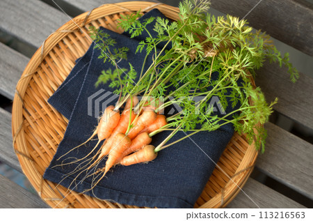 Homemade carrots 113216563