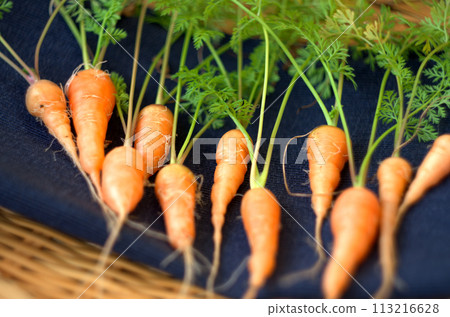 Homemade carrots Homemade carrots 113216628