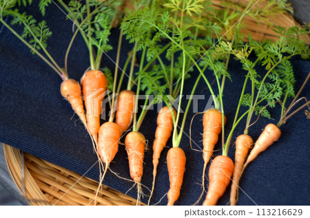 Homemade carrots Homemade carrots 113216629