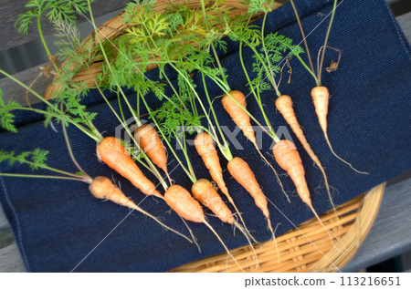 Homemade carrots Homemade carrots 113216651