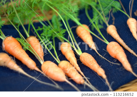 Homemade carrots Homemade carrots 113216652