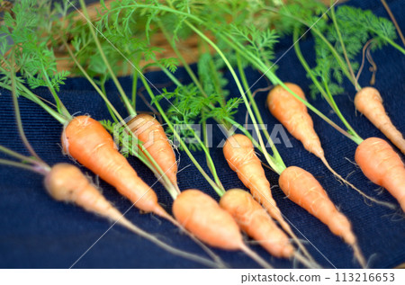 Homemade carrots Homemade carrots 113216653
