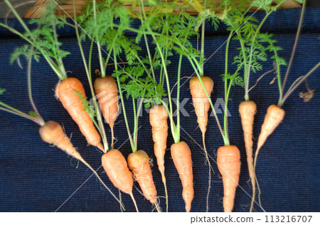 Homemade carrots Homemade carrots 113216707