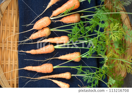 Homemade carrots Homemade carrots 113216708