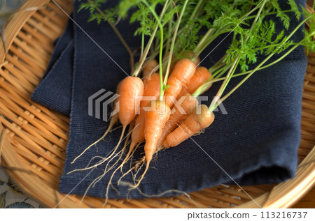Homemade carrots 113216737