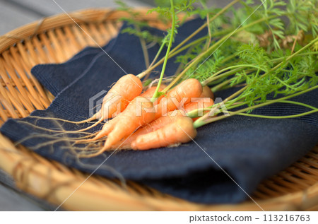Homemade carrots Homemade carrots 113216763