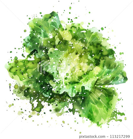 A delicate watercolor depiction of a green cabbage 113217299