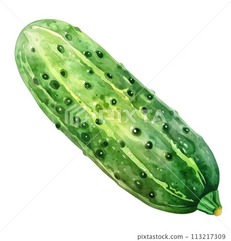 A watercolor painting of a cucumber, richly detailed with shades of green 113217309