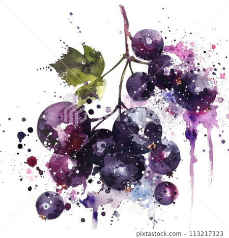 Vibrant watercolor blackcurrants burst with color and life Vibrant watercolor blackcurrants burst with color and life 113217323