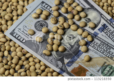 Dollars banknotes and coins and soy beans, commoditi value concept. 113218350