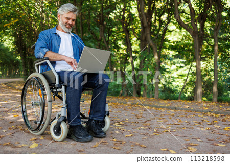 Wheelchair User Engaged in Remote Work 113218598