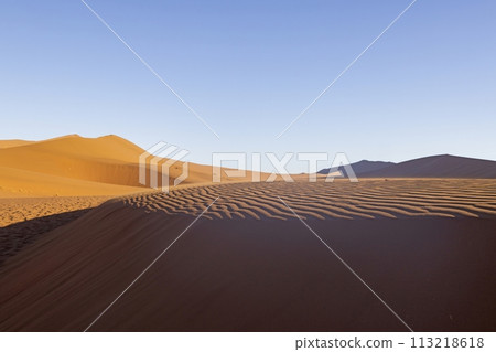 Panoramic picture of the red dunes of the Namib Desert in Namibia against a blue sky in the evening light 113218618