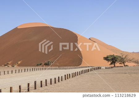 Picture of the famous Dune 45 in Namibia's Soosusvlei National Park during the day against a blue sky Picture of the famous Dune 45 in Namibia's Soosusvlei National Park during the day against a blue sky 113218629