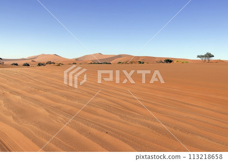 Panoramic picture of the red dunes of the Namib Desert in Namibia against a blue sky in the evening light 113218658
