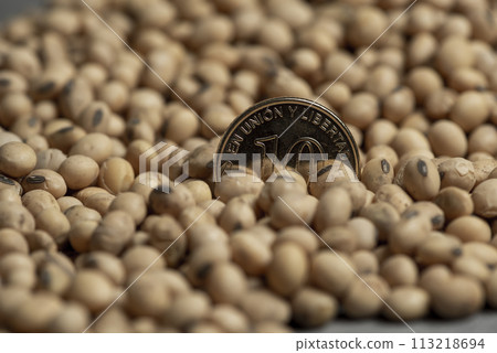 Dollars banknotes and coins and soy beans,oleaginous commoditi value concept. Dollars banknotes and coins and soy beans,oleaginous commoditi value concept. 113218694