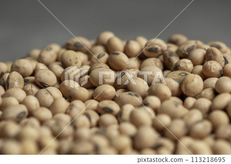 Dollars banknotes and coins and soy beans,oleaginous commoditi value concept. Dollars banknotes and coins and soy beans,oleaginous commoditi value concept. 113218695