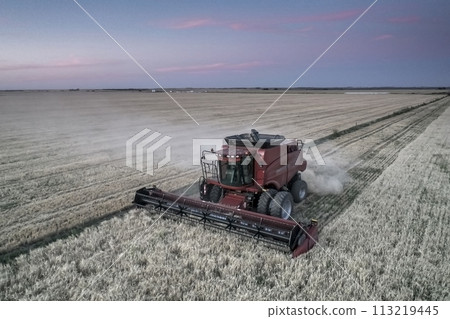 Harvester in Pampas Countryside, aerial view, La Pampa province, Argentina. Harvester in Pampas Countryside, aerial view, La Pampa province, Argentina. 113219445