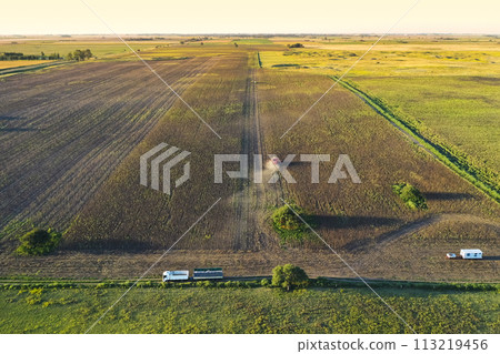 Harvester in Pampas Countryside, aerial view, La Pampa province, Argentina. 113219456