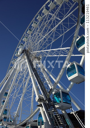 Ferris wheel  113219461