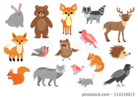 Forest animals set. Cute little woodland wild animals and birds Forest animals set. Cute little woodland wild animals and birds 113219813