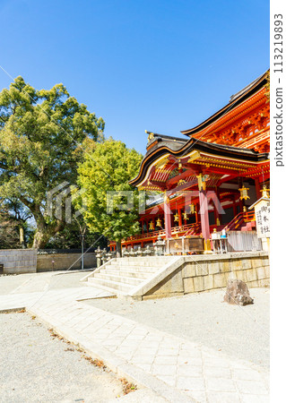 Iwashimizu Hachimangu Shrine in Yawata Takabo, Yawata City, Kyoto Prefecture, the tower gate (national treasure) and large camphor tree 113219893