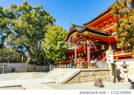 Iwashimizu Hachimangu Shrine in Yawata Takabo, Yawata City, Kyoto Prefecture, the tower gate (national treasure) and large camphor tree 113219894