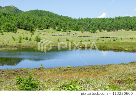 People walking along the mirror pond and wooden path in Ikenotaira Wetland in Tomi City, Nagano Prefecture 113220660
