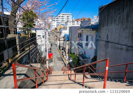 Suga Shrine stone steps, Shinjuku, Tokyo 113220669