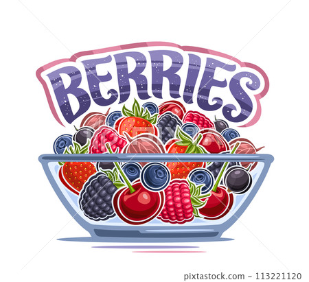 Vector Berry Bowl Vector Berry Bowl 113221120