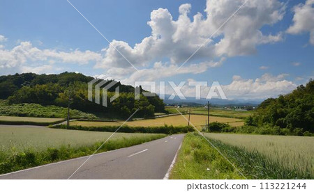 Japanese summer countryside scenery_01_AI generated image 113221244