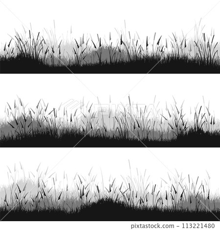 Meadow silhouettes with grass, plants on plain. Panoramic summer lawn landscape with herbs, various weeds. Herbal border, frame. Nature background. Black horizontal banner. Vector illustration 113221480