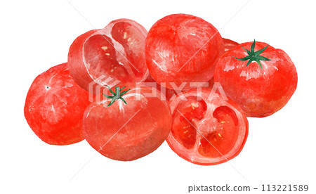 Illustration of tomato drawn in watercolor Illustration of tomato drawn in watercolor 113221589