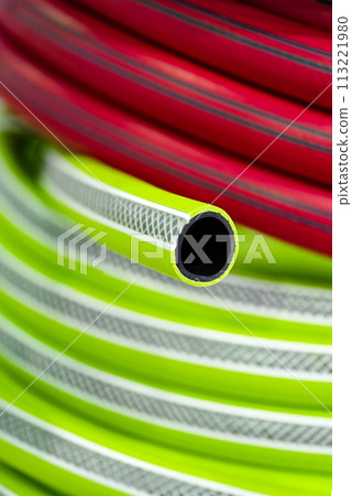 Rolled up colourful garden hose 113221980