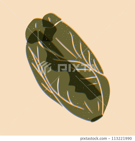 Chinese cabbage. Risoprint imitation with grunge effect. Healthy food concept. Square poster or background. Risograph composition with scratches Chinese cabbage. Risoprint imitation with grunge effect. Healthy food concept. Square poster or background. Risograph composition with scratches 113221990