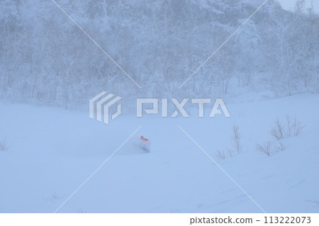 野外滑雪 野外滑雪 113222073