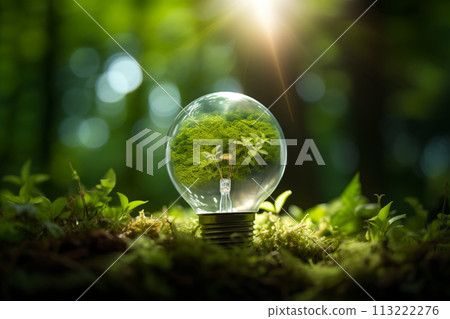 Green tree inside a light bulb Green energy 113222276