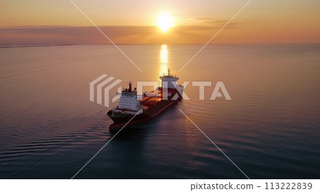 Aerial image of huge fuel tanker ship in the sea on sunset. Generative AI 113222839
