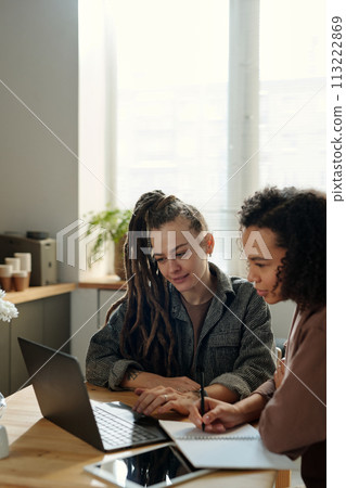 Businesswomen looking at laptop screen 113222869