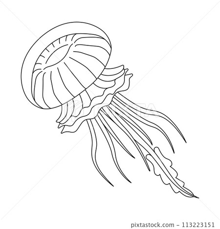 Jellyfish black and white line art illustration. Art therapy Coloring page 113223151
