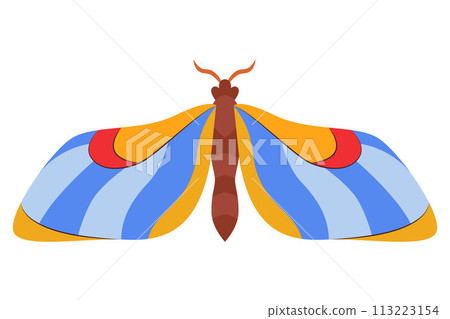 Colorful Butterfly icon logo isolated. Beautiful Butterfly illustration Colorful Butterfly icon logo isolated. Beautiful Butterfly illustration 113223154