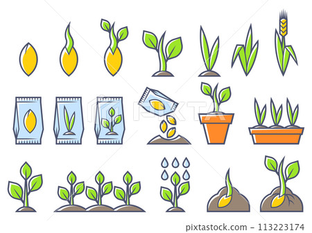 Planting seeds and growing set. Agricultural, cultivation and planting illustration. 113223174