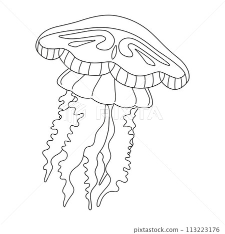 Jellyfish black and white line art illustration. Art therapy Coloring page Jellyfish black and white line art illustration. Art therapy Coloring page 113223176