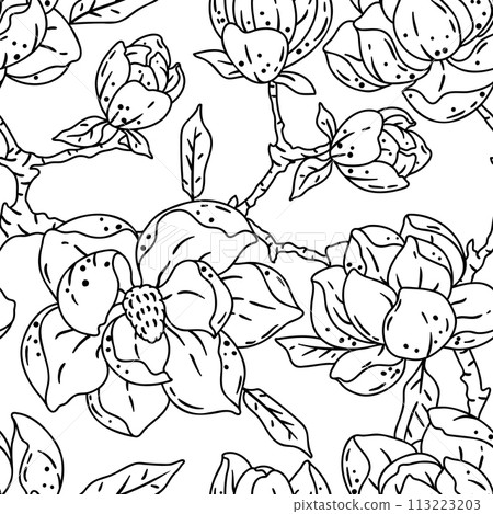 Pattern with magnolia flowers. Beautiful decorative plants. 113223203