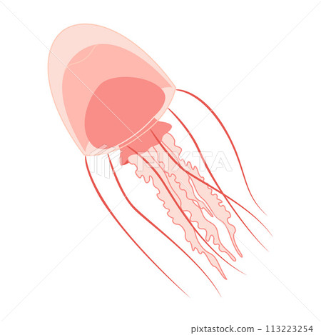 Cartoon Pink jellyfish trendy flat style. Vector illustration medusa. 113223254